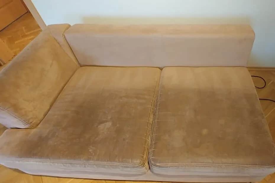 Jak wyczyścić sierść z kanapy? Skuteczne metody, które zadziałają